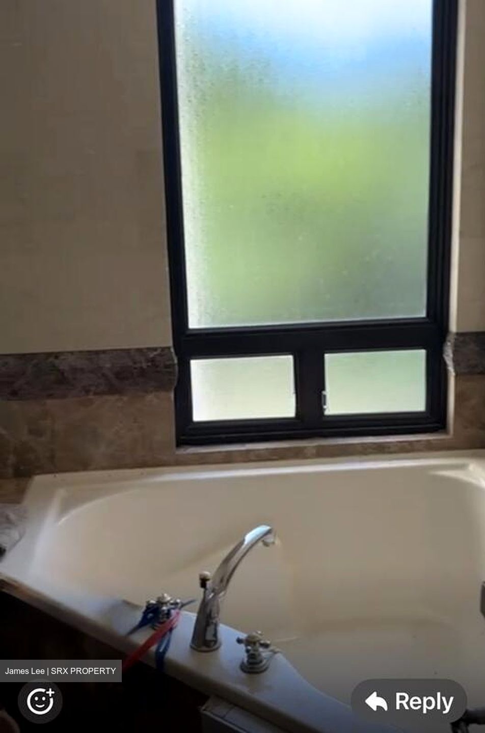 The Sterling (D21), Condominium #497791251